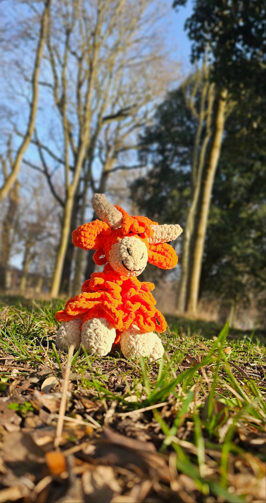 Ruadh The Highland Cow